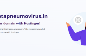 HumanMetaPneumoVirus.in  (HMPV) –  Domain Name for SALE